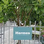 Hermes Lejlighed